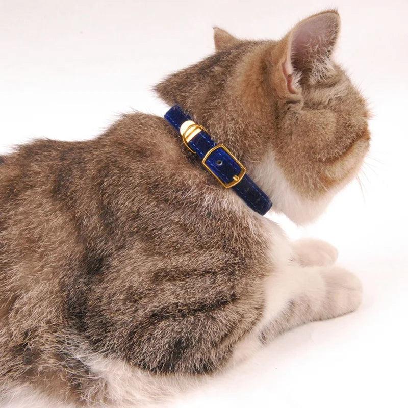 Cat Collar with Bell Safety Breakaway Design for Small Dogs & Cats  ourlum.com   