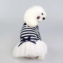 Regal Pet Couture: Tulle Princess Dress for Small Dogs and Cats  ourlum.com   