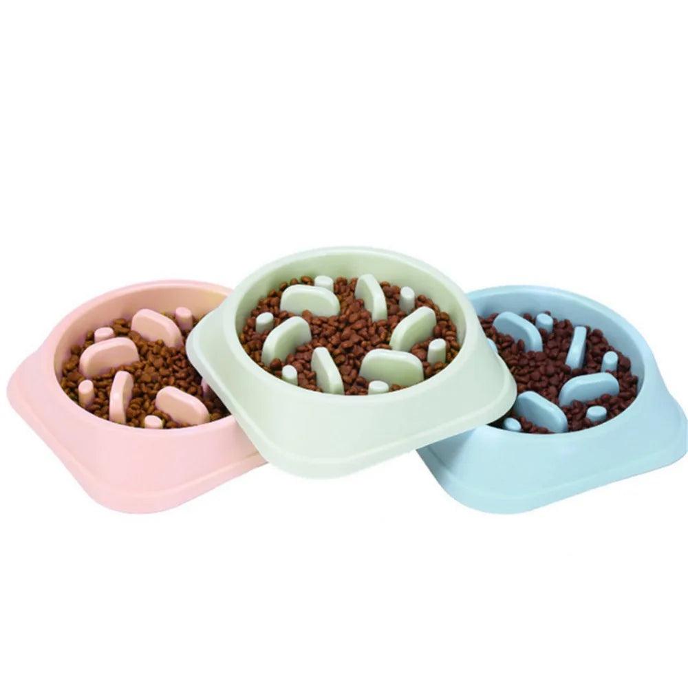 Slow Feed Pet Bowl: Healthy Eating Solution for Cats and Dogs  ourlum.com   