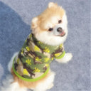 Warm Fleece Skull Print Dog Coat: Stylish Camo French Bulldog Jacket  ourlum.com   