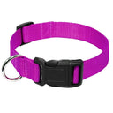 Nylon Webbing Dog Collar with Quick Snap Buckle: Comfortable and Durable Pet Collar for Small to Medium Dogs  ourlum.com PURPLE XS 