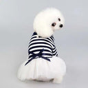 Regal Pet Couture: Tulle Princess Dress for Small Dogs and Cats  ourlum.com Blue XL 