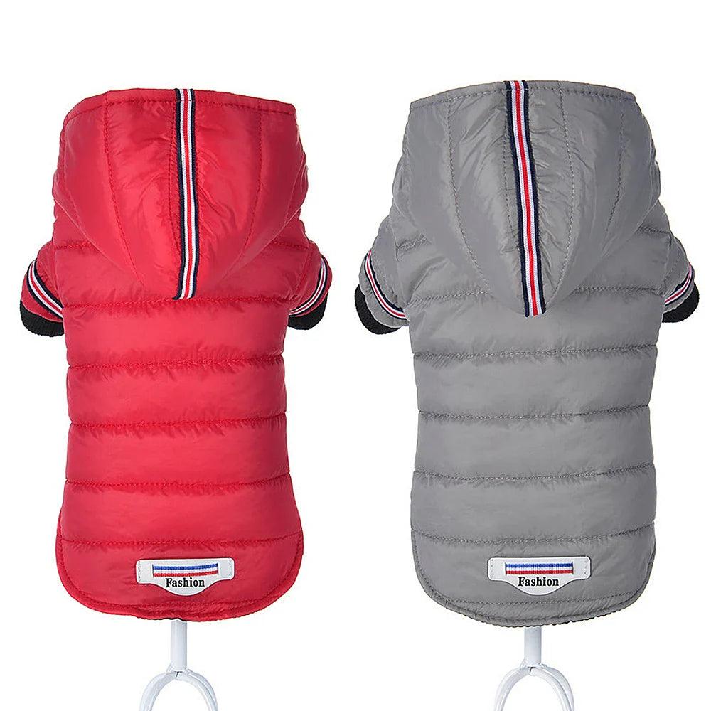 Chihuahua Winter Jacket: Red Waterproof Coat for Small Medium Dogs  ourlum.com   