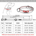 Personalized Leather Dog Collar with ID for Small to Large Pets  ourlum.com   