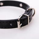 Bone Leather Reflective Pet Dog Collar for Small Large Dogs  ourlum.com   