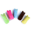 Catnip Interactive Plush Toy for Cats Funny Teeth Grinding Fun