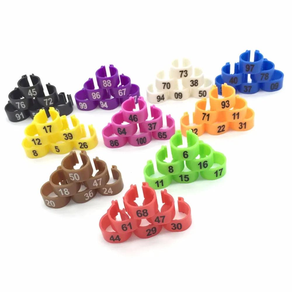 Colorful Bird Foot Rings for Pigeons and Parrots: Easy Identification, Lightweight, Durable - ourlum  ourlum.com   