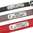 Personalized Leather Dog Collar with ID for Small to Large Pets  ourlum.com   