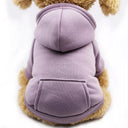 Cozy Dog Coat: Stylish Warm Apparel for Small & Large Breeds  ourlum.com Purple XS 