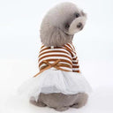 Regal Pet Couture: Tulle Princess Dress for Small Dogs and Cats  ourlum.com Coffee S 