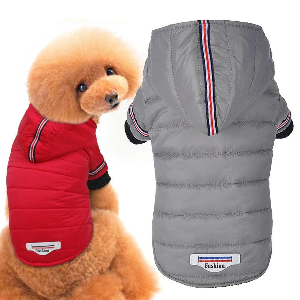 Chihuahua Winter Jacket: Red Waterproof Coat for Small Medium Dogs  ourlum.com   