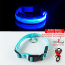 LED Dog Collar: High-Quality Fiber, Three Flash Modes, Visible Nylon  ourlum.com Blue Button Battery XS  NECK 28-38 CM 