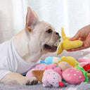 Puppy Dog Plush Squeaky Toys for Small to Medium Chewers