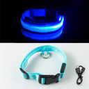 LED Dog Collar: High-Quality Fiber, Three Flash Modes, Visible Nylon  ourlum.com Blue USB Charging XS  NECK 28-38 CM 