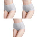 Cotton Blend High Waist Plus Size Briefs Stylish Intimates