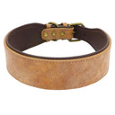 Personalized Leather Dog Collar: Free Print Name - Wide Padded Pet ID for Medium Large Dogs  ourlum.com Blank brown XL 