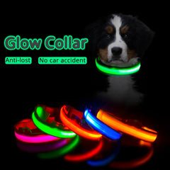 LED Dog Collar: High-Quality Fiber, Three Flash Modes, Visible Nylon