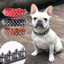 Adjustable Punk Rivet Spiked Leather Pet Collar Stylish Accessory