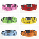 LED Dog Collar: Glow-in-the-dark Nylon Safety Pet Collar  ourlum.com   