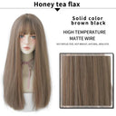 7JHHWIGS Light Brown Straight Wig Stylish Heat-Resistant