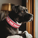 Personalized Leather Dog Collar: Free Print Name - Wide Padded Pet ID for Medium Large Dogs  ourlum.com   