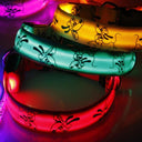 LED Dog Collar: Glow-in-the-dark Nylon Safety Pet Collar  ourlum.com   