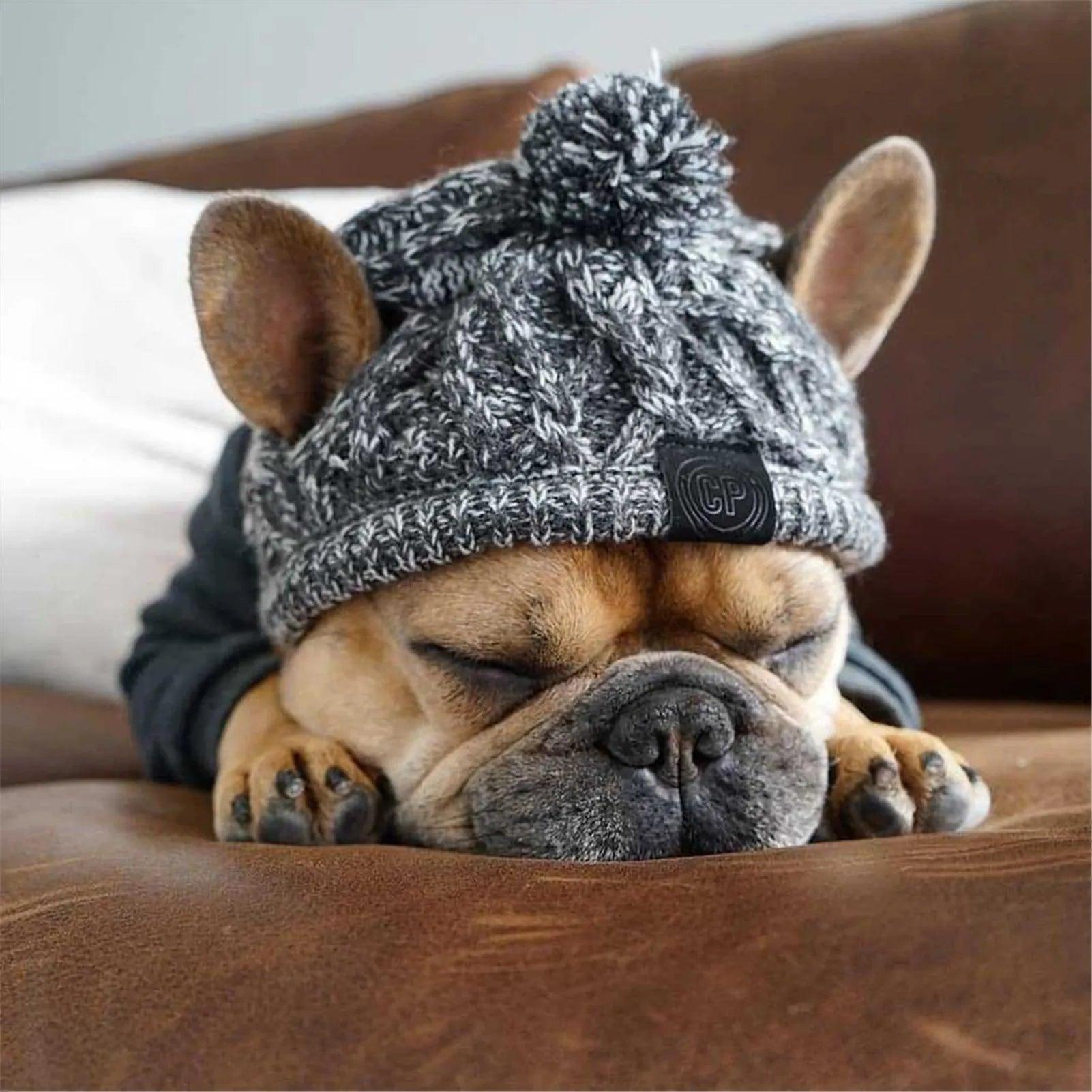 Winter Dog Hats Knitting French Bulldog & Chihuahua Accessories  ourlum.com   