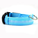 LED Glow Safety Dog Collar: Bright Night Light for Pets  ourlum.com Blue XS 28-38 cm 