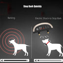 Pet Dog Bark Control Collar: Stop Barking, Rechargeable Waterproof Ultrasonic  ourlum.com   