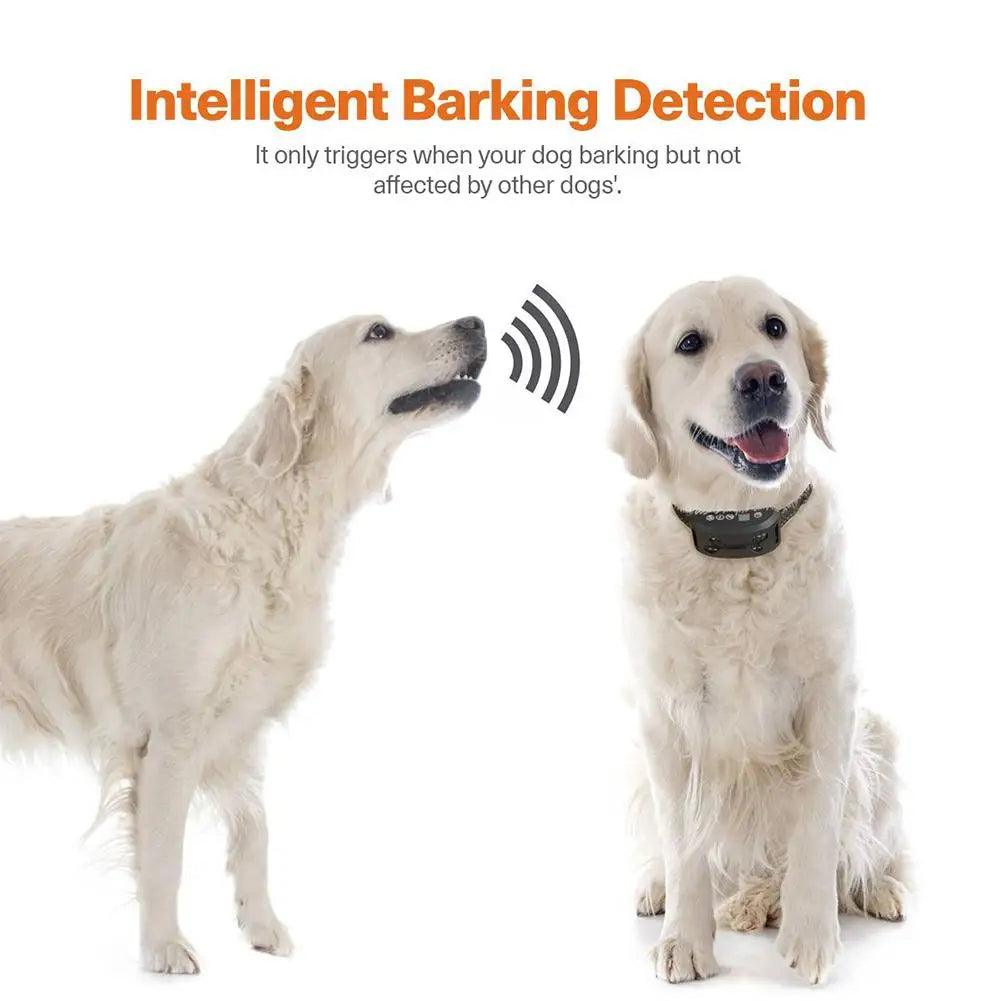 Smart Dog Anti Bark Collar: Advanced Training & Waterproof with GPS Tracking  ourlum.com   