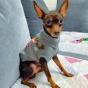 Cartoon Pet Dog Sweater: Stylish Winter Clothing for Small Breeds  ourlum.com   