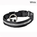 LED Glow Safety Dog Collar: Bright Night Light for Pets  ourlum.com WHITE XS 28-38 cm 