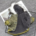 Winter Dog Jacket: Stylish Hoodie Coat for Small Medium Pets  ourlum.com   