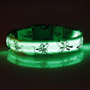 LED Dog Collar: Glow-in-the-dark Nylon Safety Pet Collar  ourlum.com green S 22-40cm 