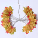 Maple Leaf LED String Lantern Garland: Festive Home & Party Lighting  ourlum.com 4 2M 10Led-Battery box 