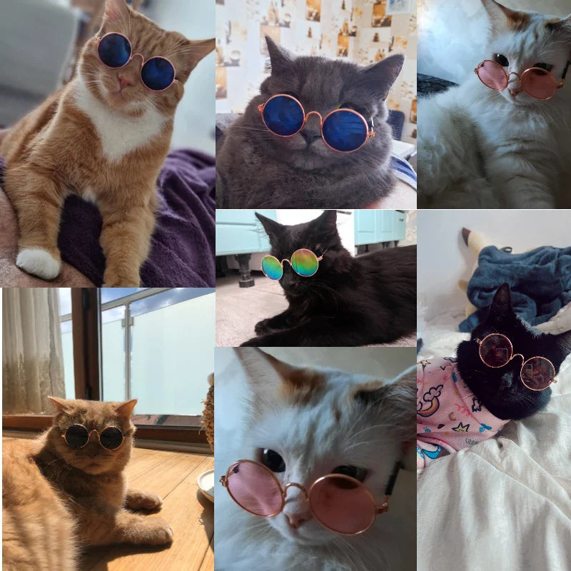 Pet Cat and Dog Sunglasses for Stylish Photoshoots  ourlum.com   