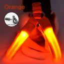 Luminous LED Dog Harness: Night Safety Nylon Collar & Light for Running  ourlum.com Orange XS 30-35cm 