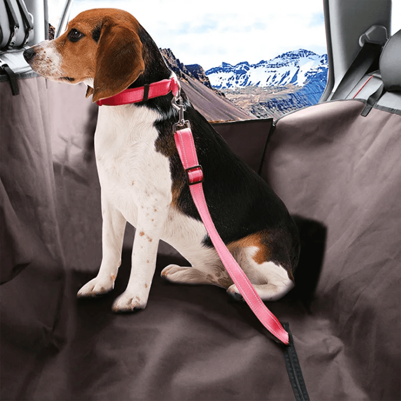 Adjustable Pet Car Seat Belt Harness for Small to Medium Dogs - Travel Safety Leash Clip - Choose from 13 Vibrant Colors  ourlum.com   