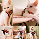 Adjustable Mesh Dog Harness: Comfortable Polyester Leash for Small Medium Pet  ourlum.com   