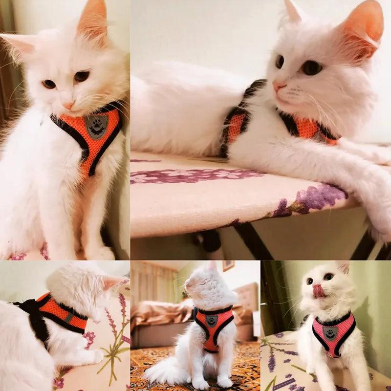 Cat Harness Vest Walking Lead Leash For Small Medium Pets: Control & Safety in Style  ourlum.com   