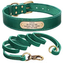 Personalized Leather Dog Collar Set with Free Engraving  ourlum.com Green Set XS 