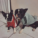 Winter Dog Adidog Sport Hoodies: Stylish Warm Clothing for Pets  ourlum   