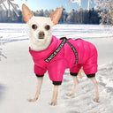 Winter Dog Jacket Coat: Super Warm Waterproof Pet Clothing for French Bulldog  ourlum.com   