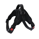 Adjustable Reflective Breathable Pet Harness with Leash: Upgrade Your Pet's Walks  ourlum.com Black XS 