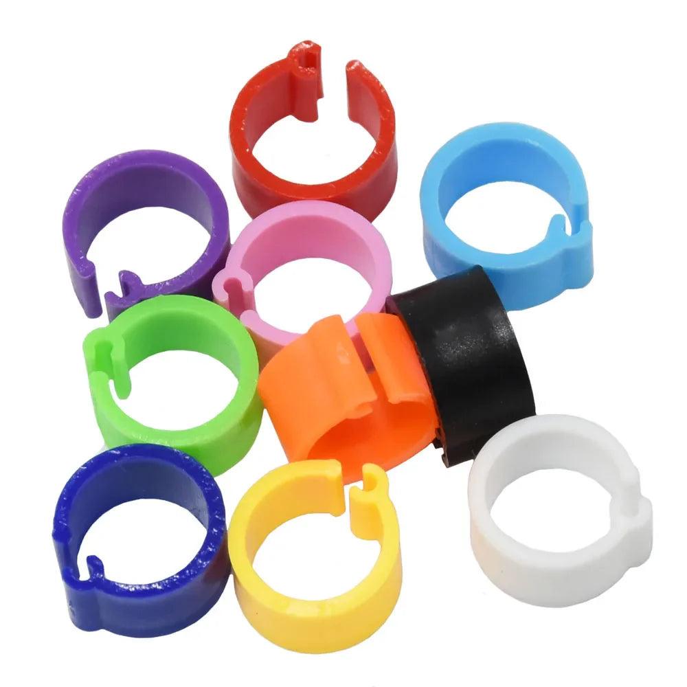 Birds Feet Rings - Vibrant Plastic Clips for Bird Identification  ourlum.com   