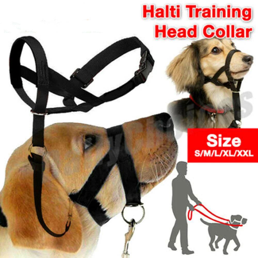 Nylon Dog Muzzle with Training Head Collar: Prevent Pulling, Anti Barking & More!  ourlum.com   