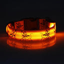 LED Dog Collar: Glow-in-the-dark Nylon Safety Pet Collar  ourlum.com Orange S 22-40cm 