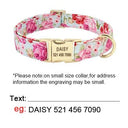 Personalized Custom Nylon Dog Collar Leash Set Engraved Nameplate Stylish All-Season Safety Pet Collar  ourlum.com   