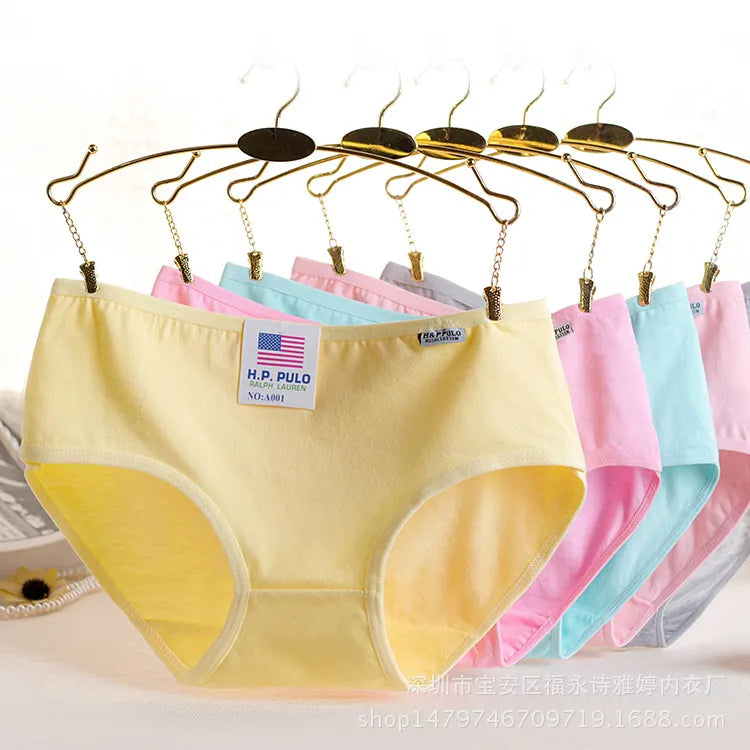 Candy Color Contracted Panties Set - Luxe Comfort Cotton Female Briefs  Our Lum   