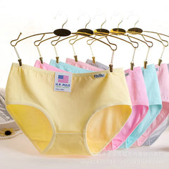 Colorful Cotton Panties Set: Premium Female Underwear Collection
